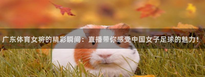 看球吧直播视频在线直播：广东体育女将的精彩瞬间：直播带你感受中国女子足球的魅力！