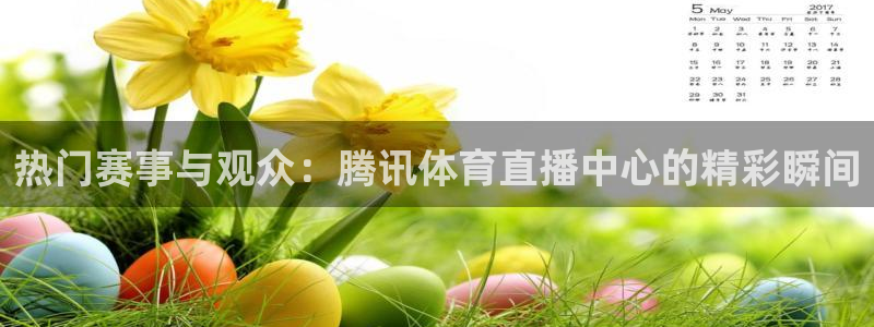 看球吧nba直播吧在线直播