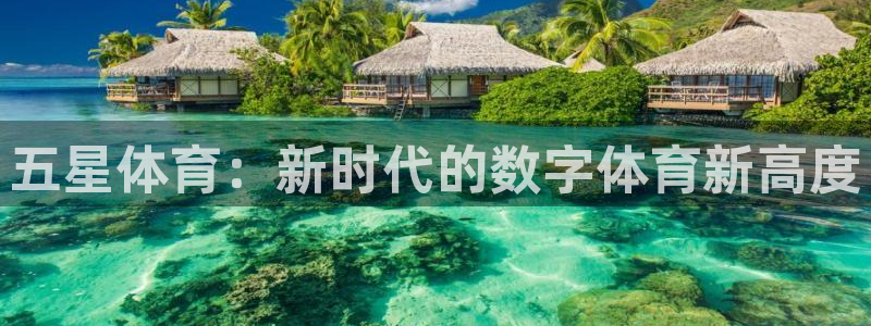 nba直播看球吧