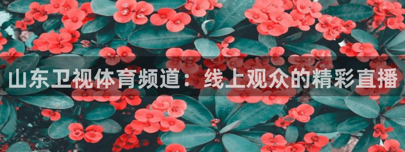 看球吧直播在线入口