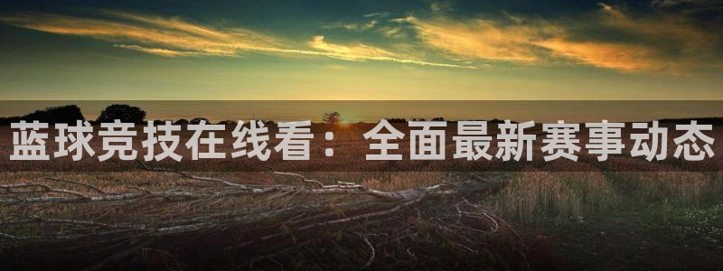 看球吧雨燕直播：蓝球竞技在线看：全面最新赛事动态