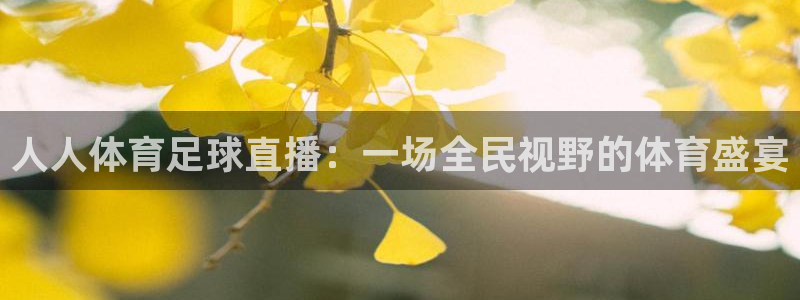 看球吧直播下载：人人体育足球直播：一场全民视野的体育盛宴