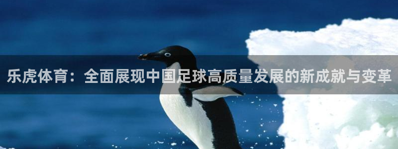 看球吧在线观看免费直播：乐虎体育：全面展现中国足球高质量发展的新成就与变革